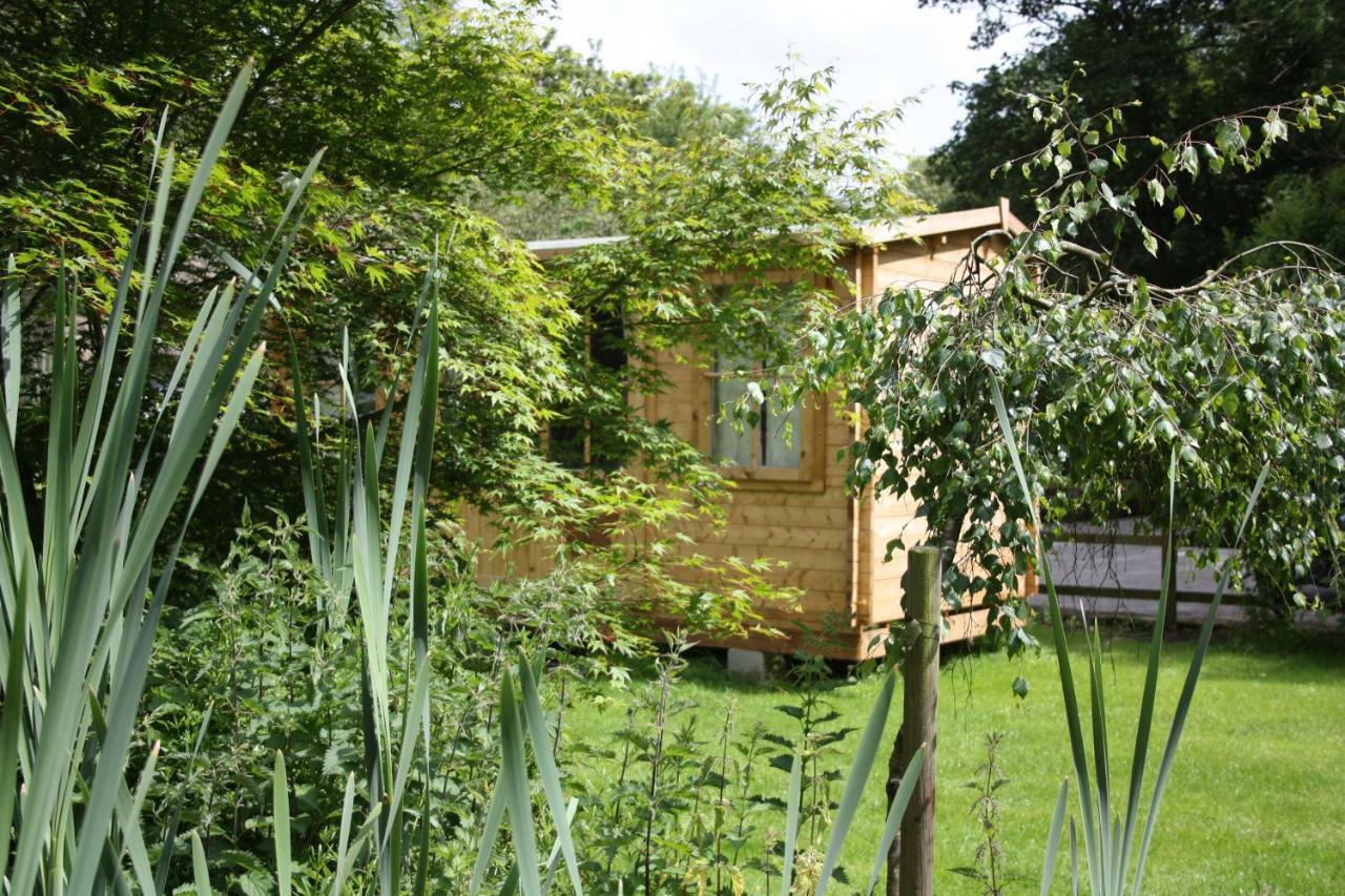 Owl Lodge Cowling Екстер'єр фото